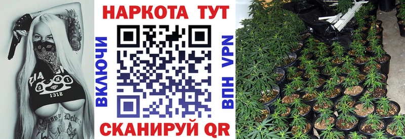 Где найти наркотики Куртамыш MDMA Кокаин A-PVP Меф мяу мяу Гашиш Каннабис