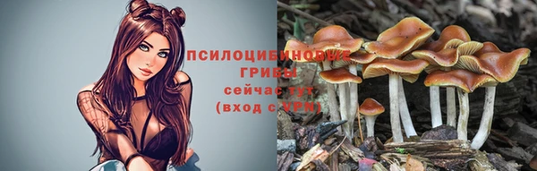 кокаин перу Арсеньев