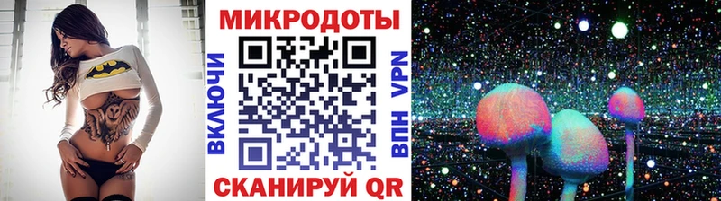 Псилоцибиновые грибы ЛСД  Куртамыш 