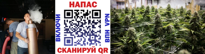 Каннабис VHQ  Куртамыш 